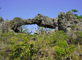 Tucabaca