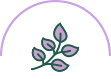 leaf icon