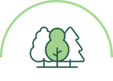 tree icon